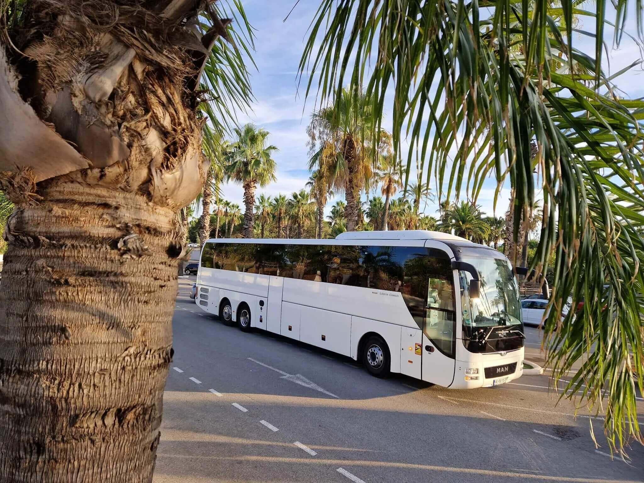 Bus 83 PAX rental in Hungary — up to 83 passengers