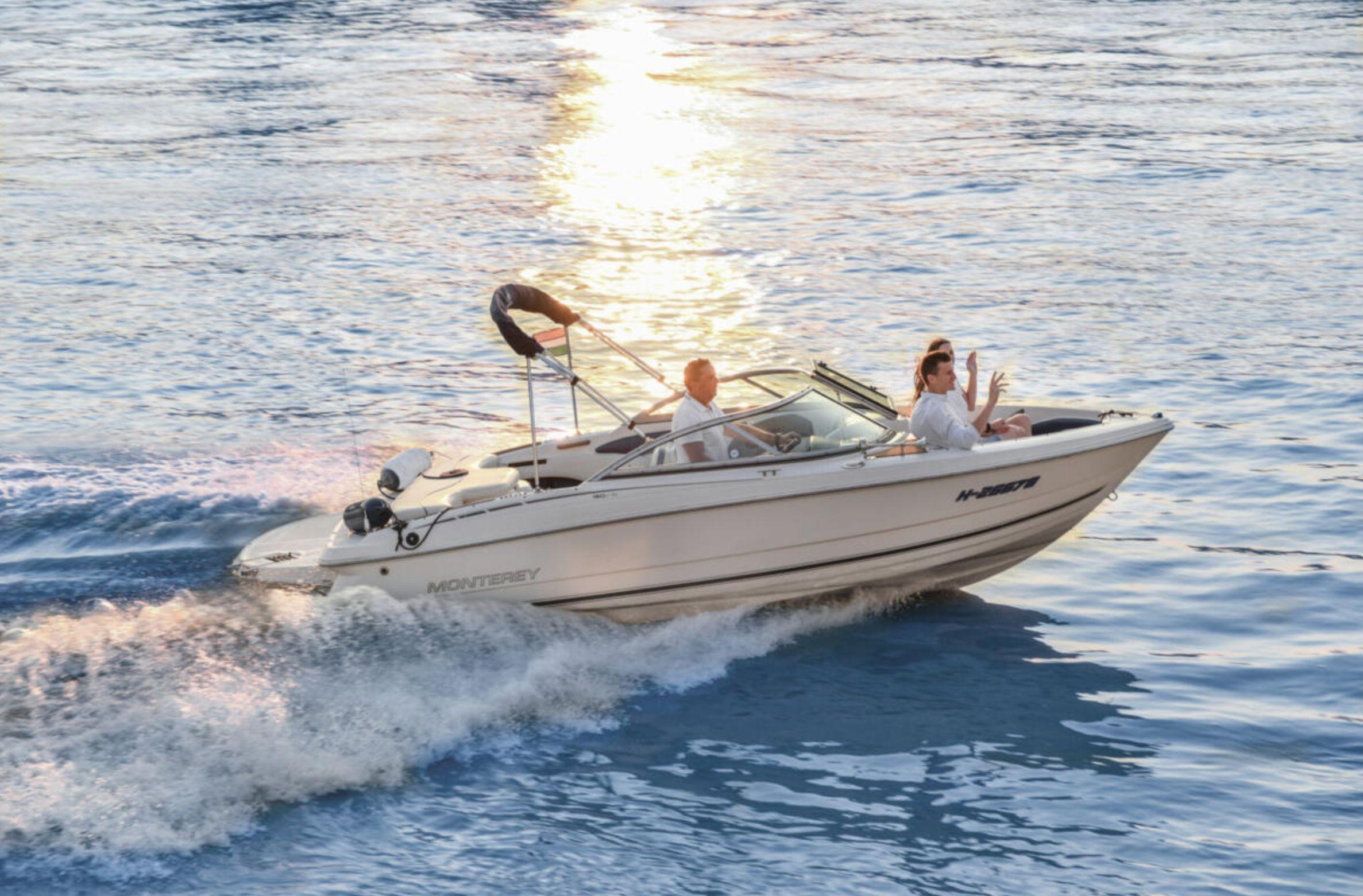 High-Speed Motorboat Tour on the Danube River