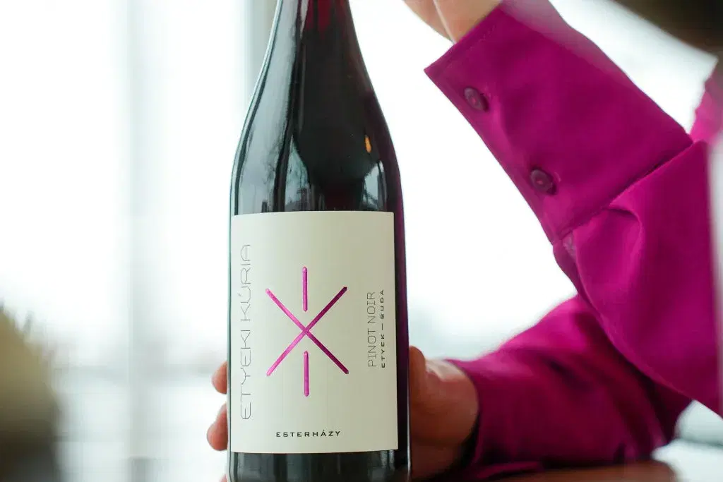 A private wine tour of Etyek, straight from the airport