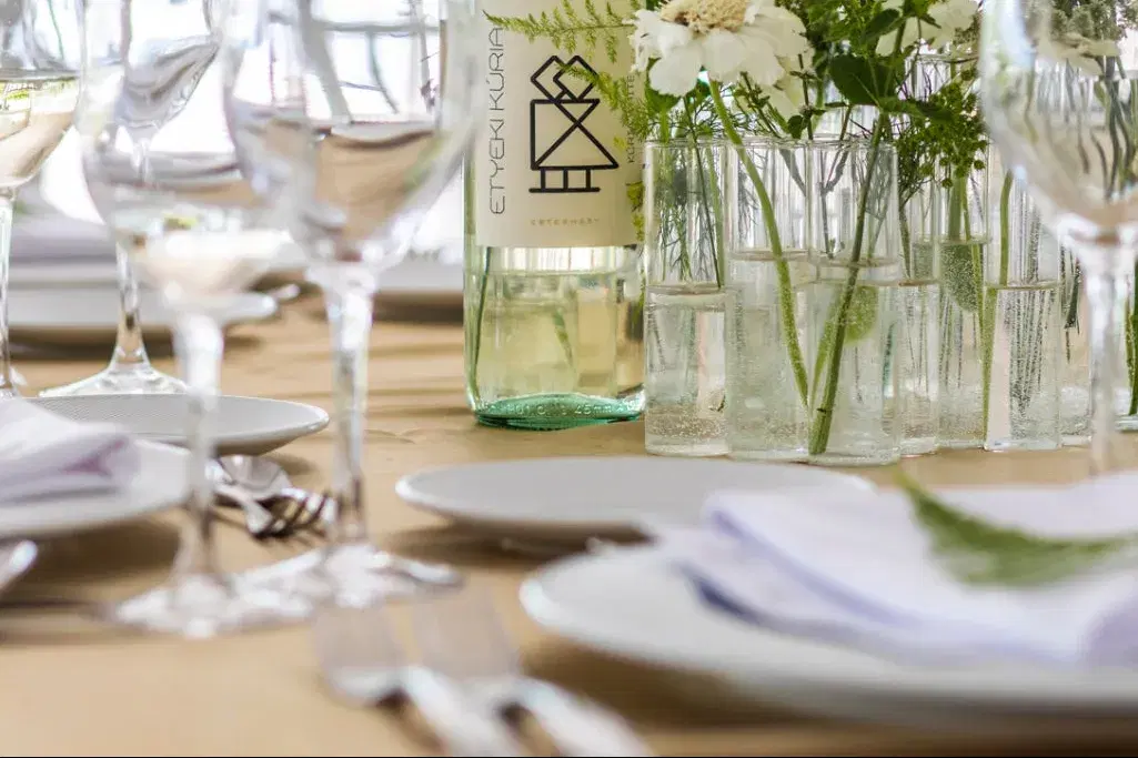 A private wine tour of Etyek, straight from the airport