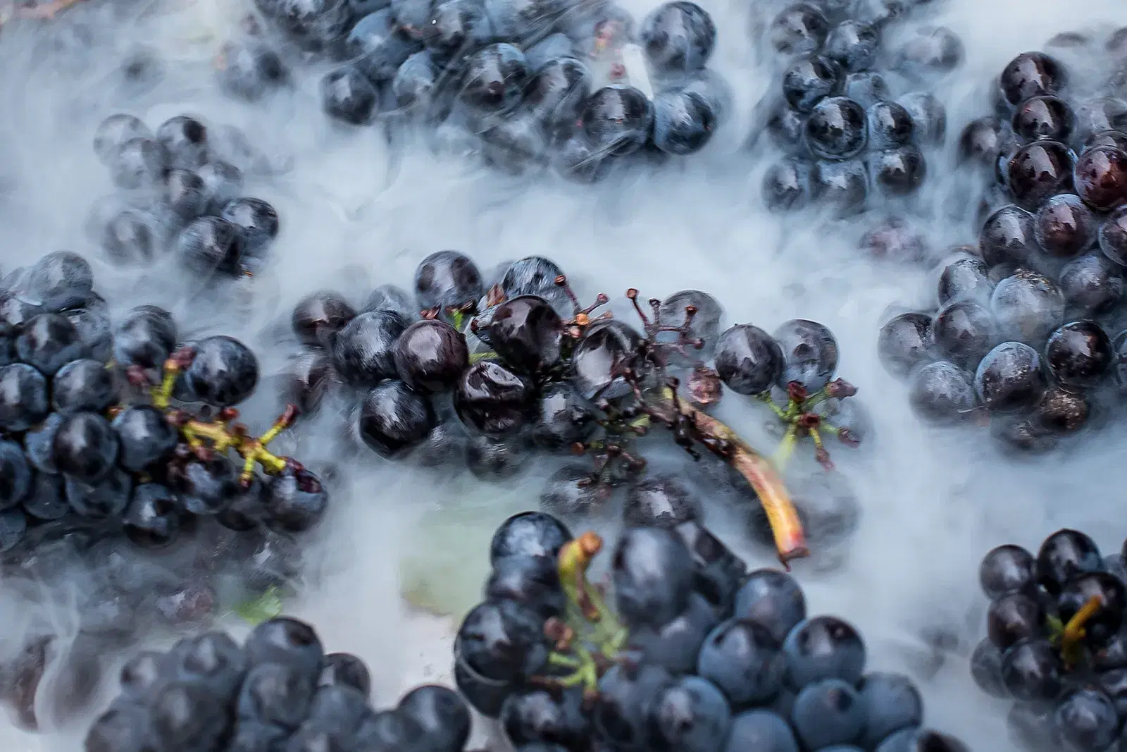 Winemaking at Etyeki Kúria