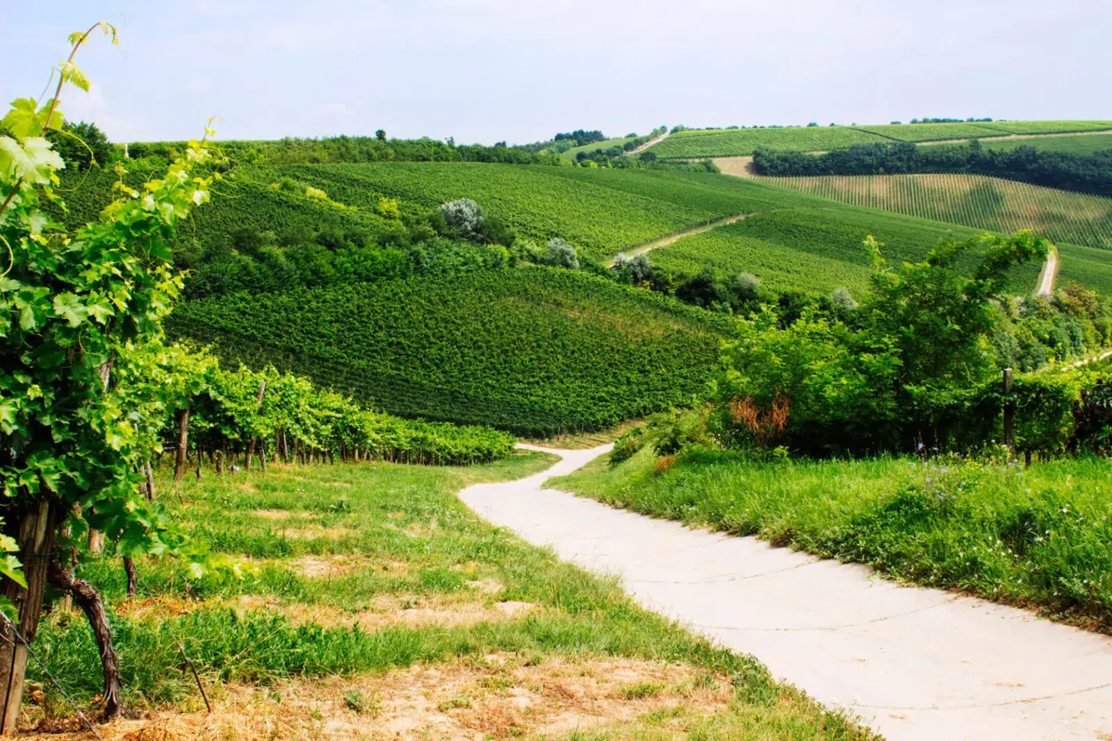 The Heritage tasting at Gere
