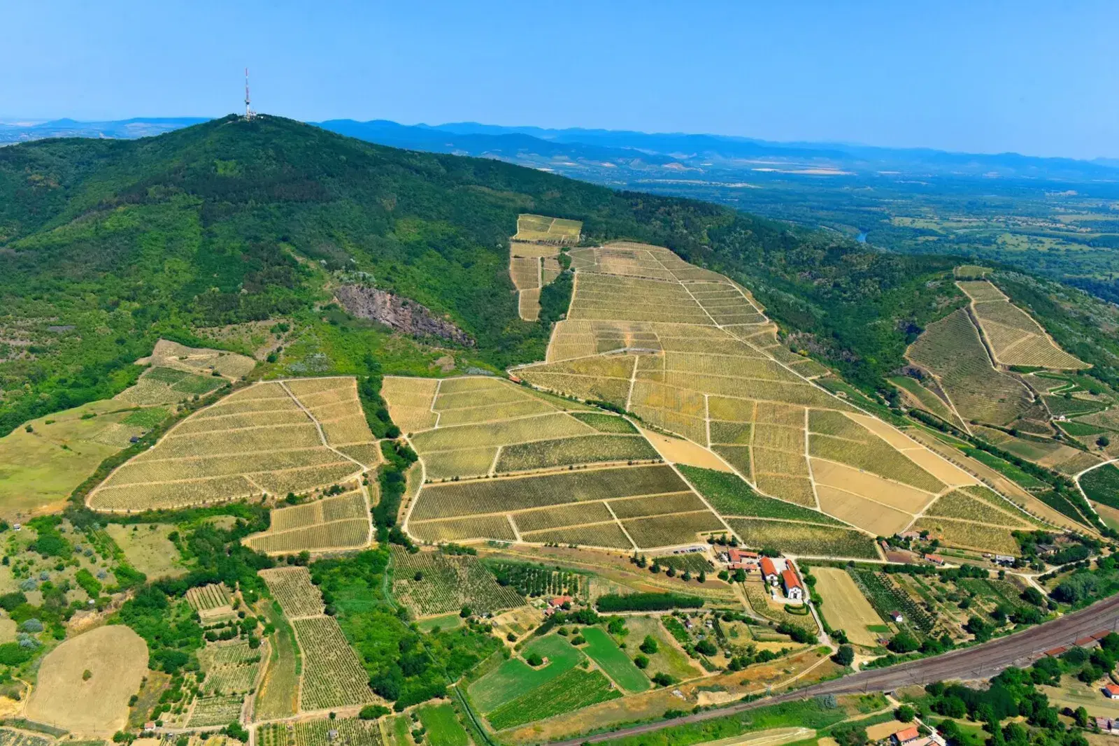 A private helicopter wine tour of Villány