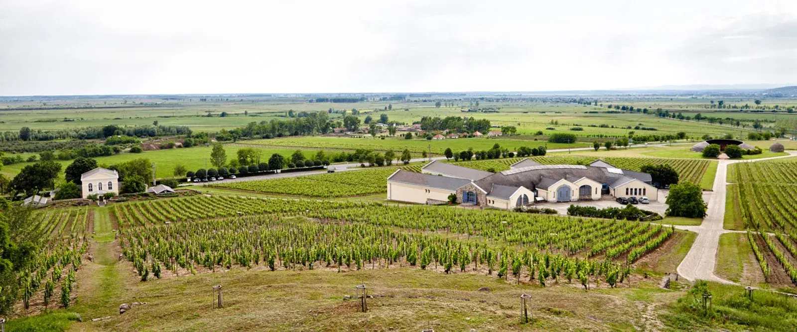 The Disznókő estate, Mezőzombor