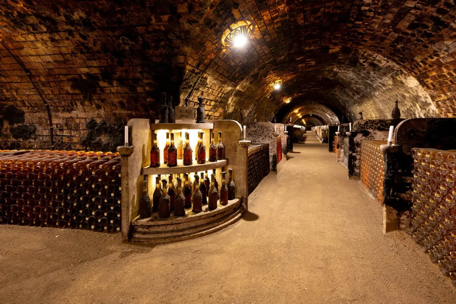 The cellars at Oremus