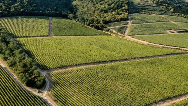 Tokaj-Oremus, à Tolcsva