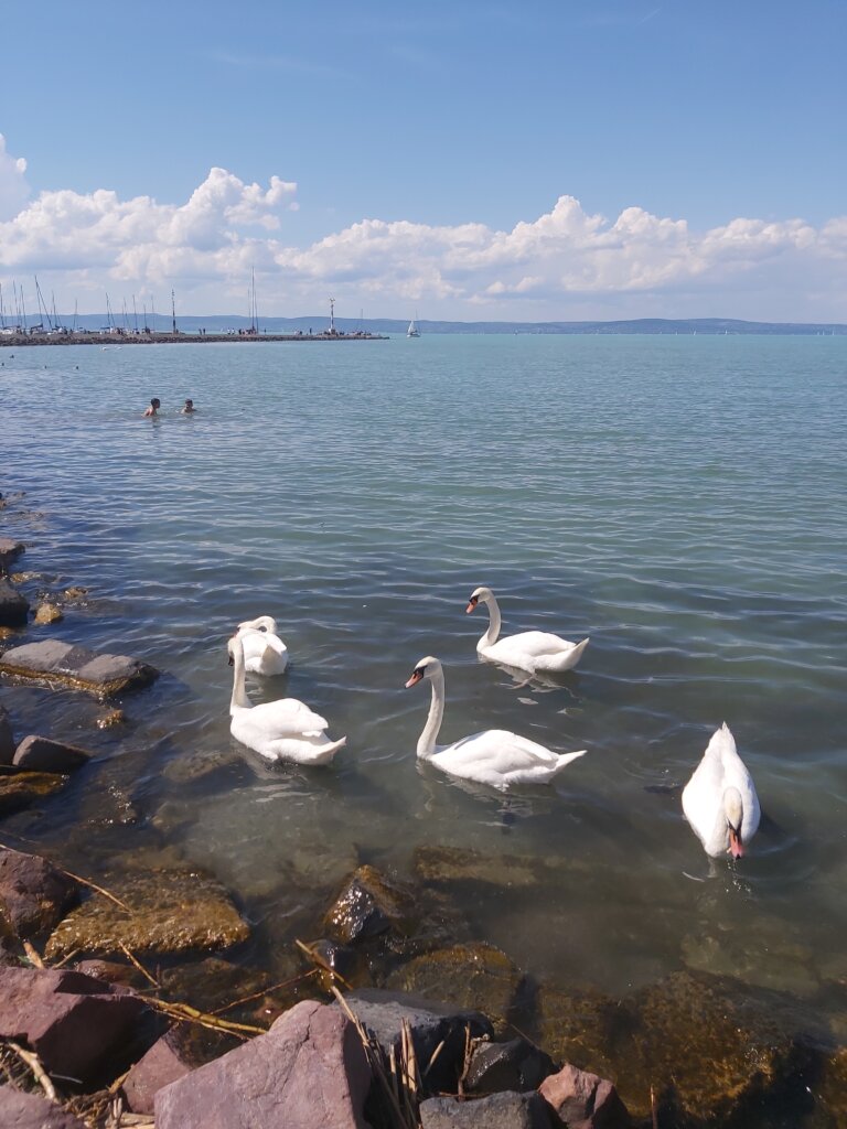 How to get from Budapest Airport to Siófok