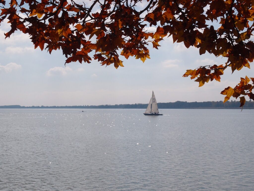 Keszthely. Sailing activities