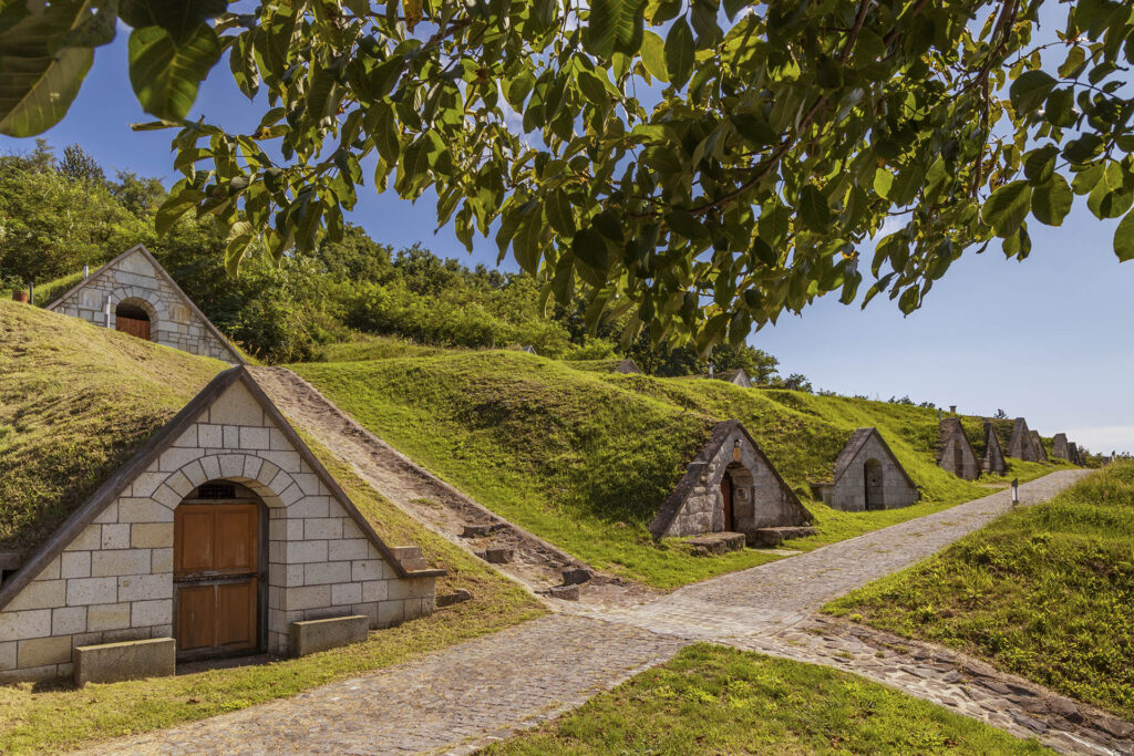 Exploring historic Tokaji wine cellars. Private transfer from Budapest to Tokaj. Famous "aszú" wine.