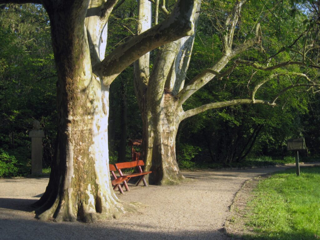 Sárvár Arboretum