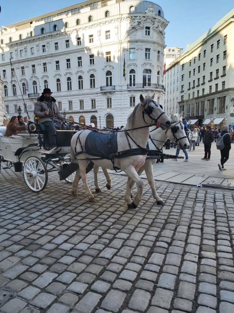 Vienna’s Christmas Markets