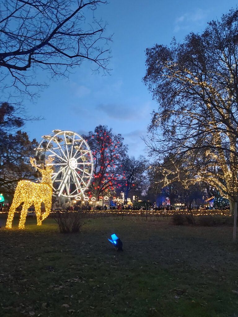 Vienna’s Christmas Markets