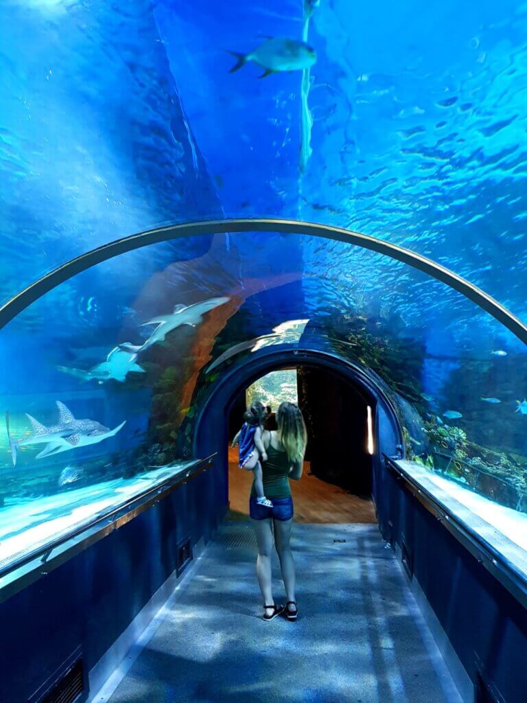 Tropicarium Budapest – A Tropical Winter Escape for Families