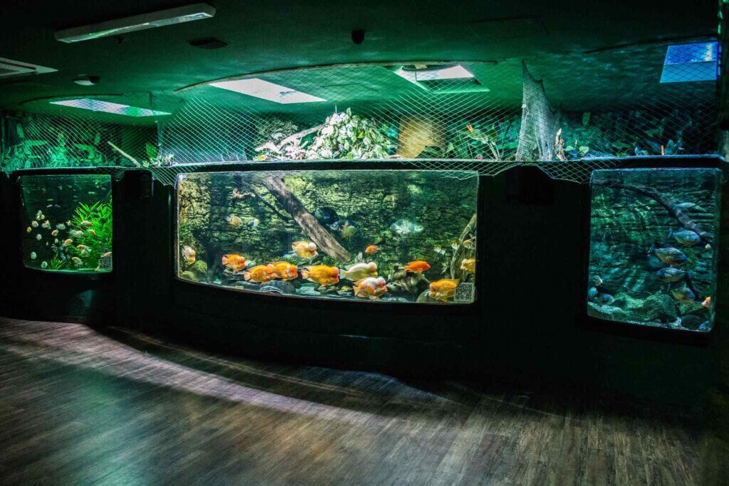 Tropicarium Budapest – A Tropical Winter Escape for Families