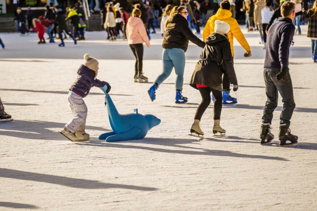 Ice Skating at Vajdahunyad Castle — A Winter Wonderland in Budapest