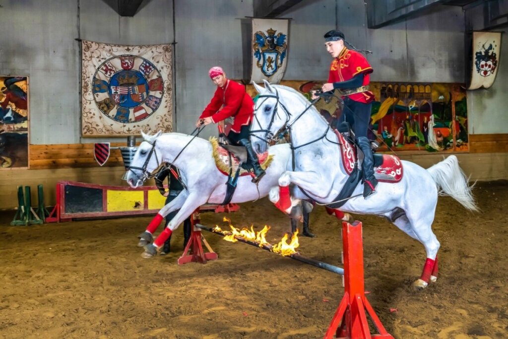 Sümeg Castle – Medieval Fortress and Knight’s Tournament. Mongolian horseback stunts and demonstrations of agility and speed