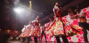 Experience the Magic of Live Show & Premium Buffet Dinner