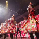 Магия ужина с живым шоу: Премиум буфет в Будапеште